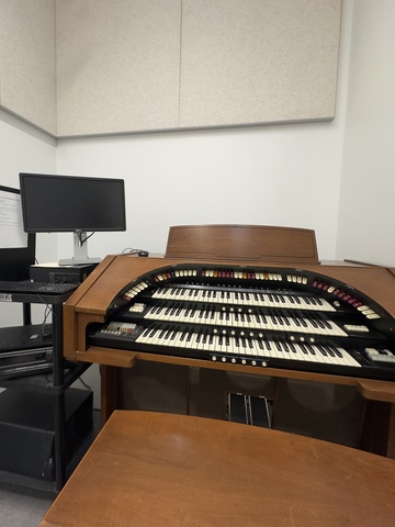 Virtual organ